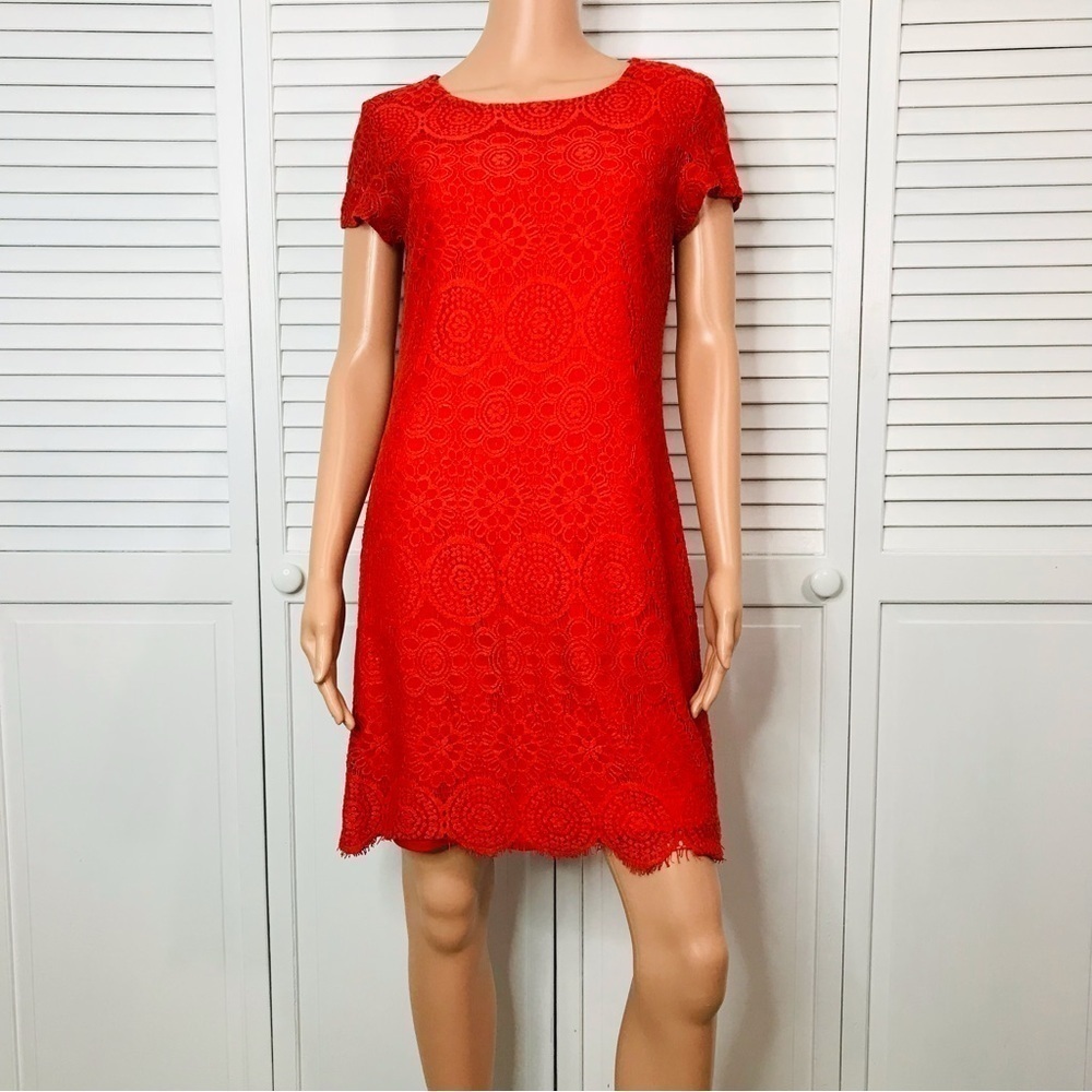 LAUNDRY Orange Lace Short Sleeve Dress Size 6